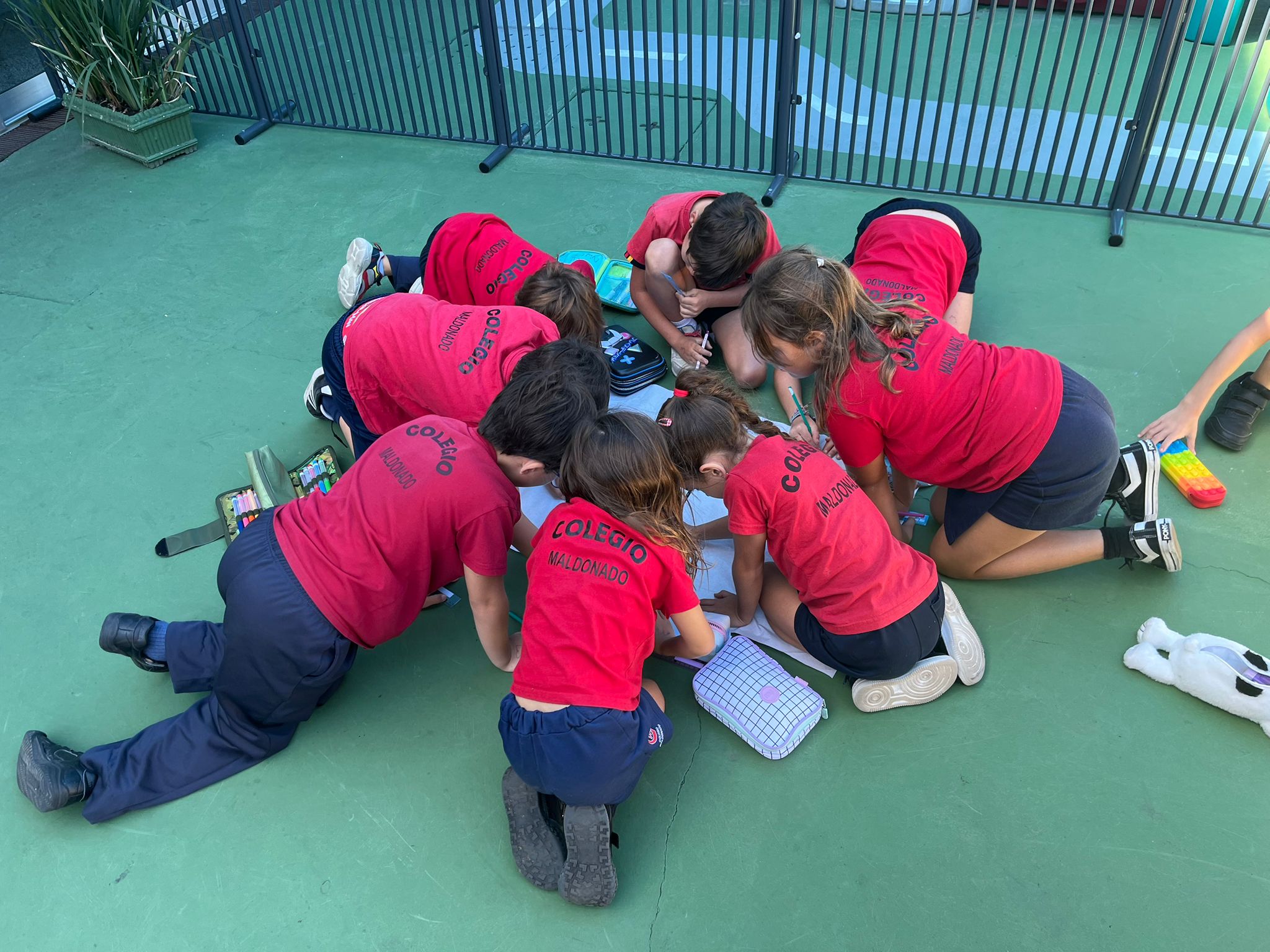 Primaria